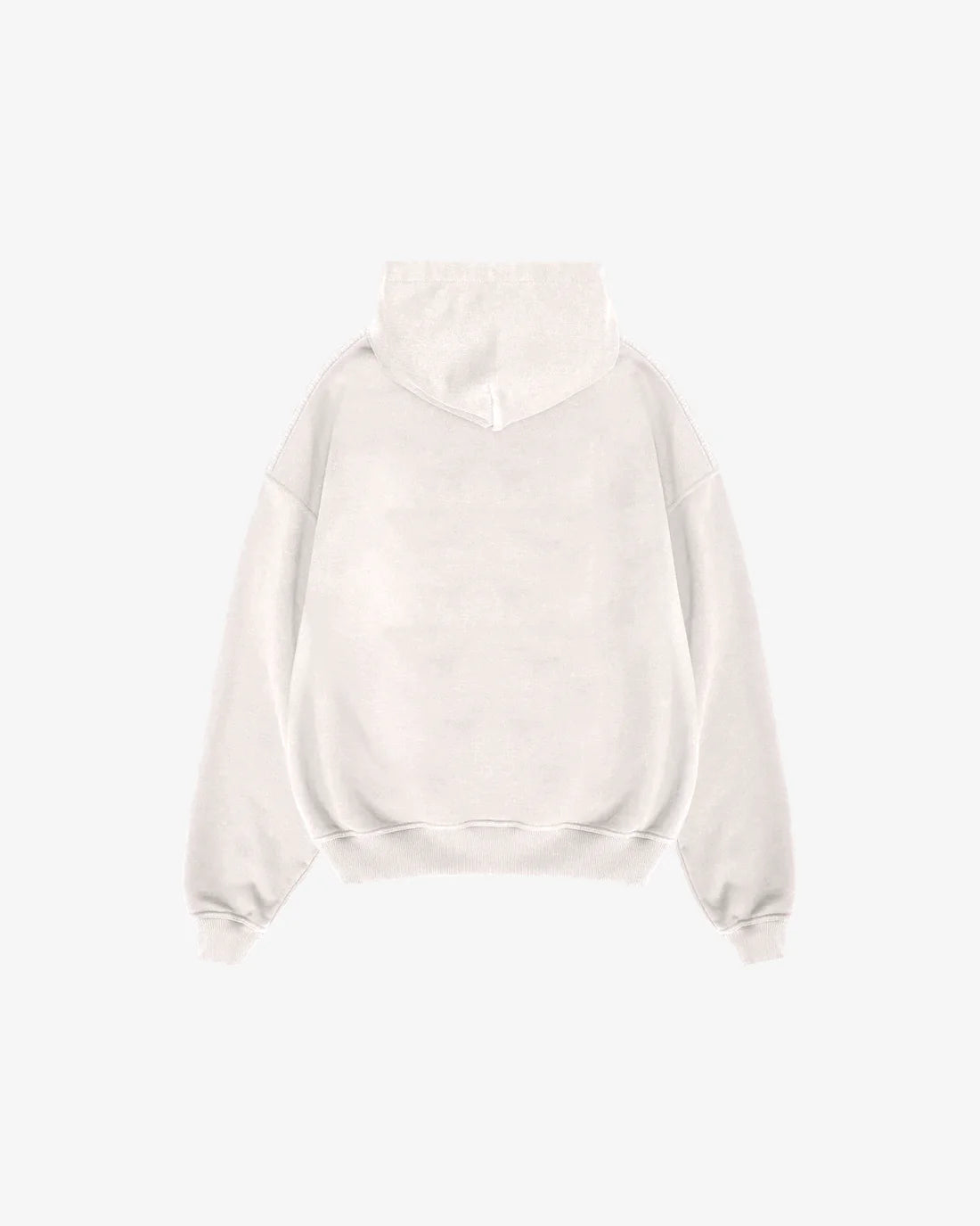 Ordinary Product not so basic hoodie