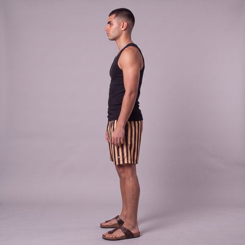 Decked Out Striped Swimshorts